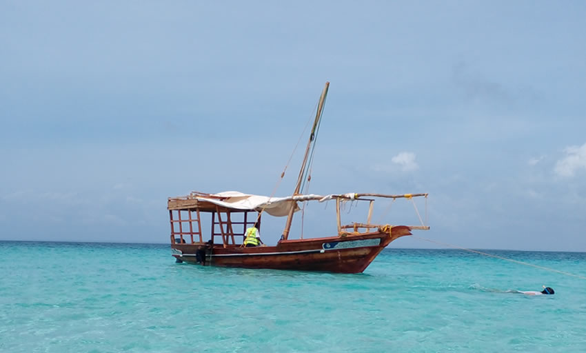 Kisite Marine Park and Wasini Island 1