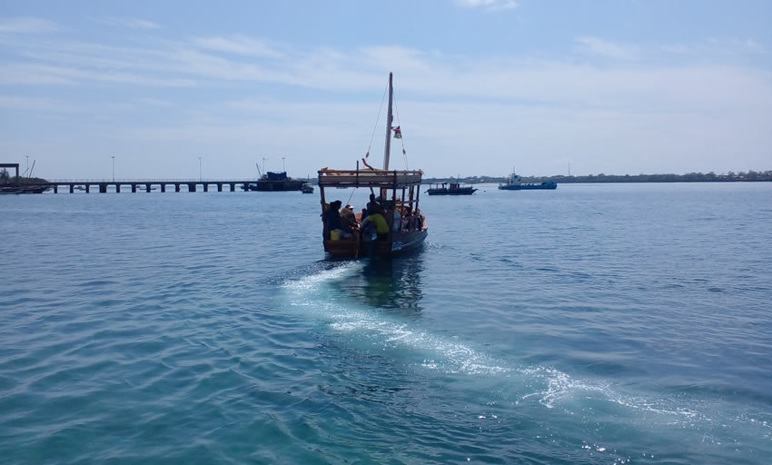 Kisite Marine Park and Wasini Island 2