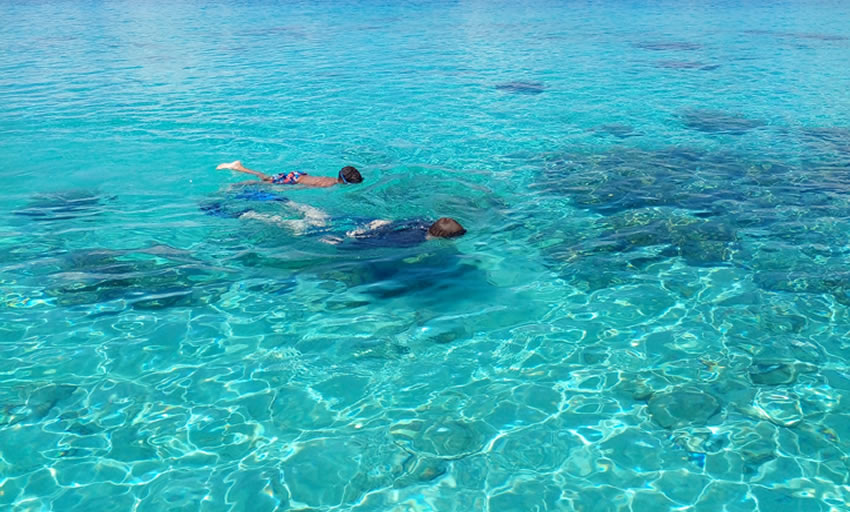 Kisite Marine Park and Wasini Island 3